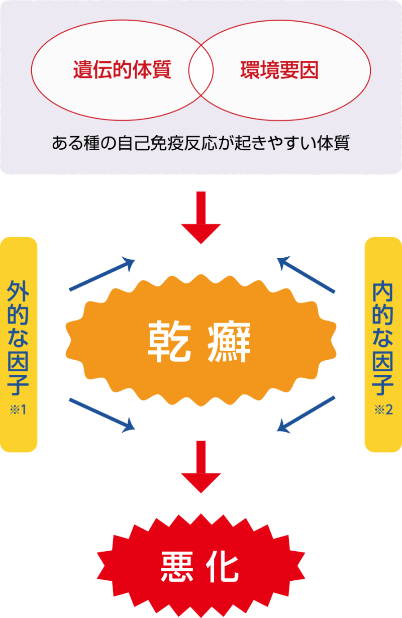 乾癬は、免疫に異常をきたしやすい体質の人に、外的な因子(ケガや感染症、ストレスや乾燥などの刺激、食生活)や内的な因子(糖尿病、高脂血症、肥満など)が加わることで発症するのではないかと考えられています。